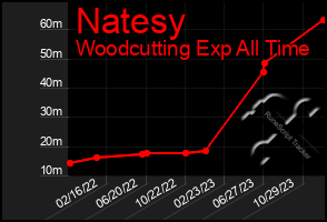 Total Graph of Natesy