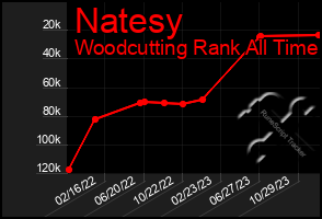 Total Graph of Natesy