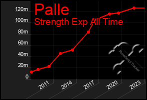 Total Graph of Palle