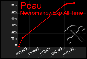 Total Graph of Peau