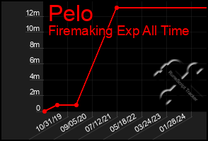 Total Graph of Pelo