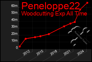 Total Graph of Peneloppe22