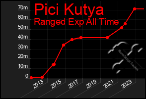 Total Graph of Pici Kutya