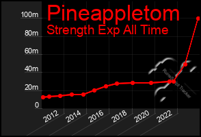 Total Graph of Pineappletom