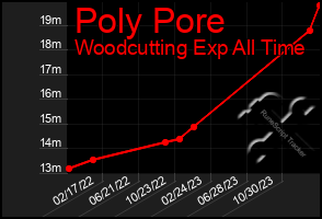 Total Graph of Poly Pore