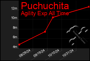 Total Graph of Puchuchita