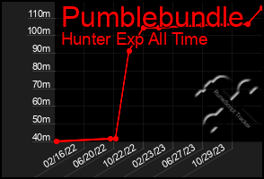 Total Graph of Pumblebundle