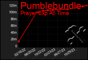 Total Graph of Pumblebundle