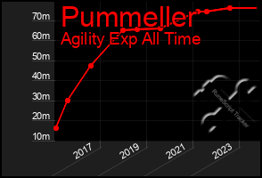 Total Graph of Pummeller