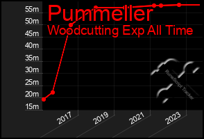 Total Graph of Pummeller