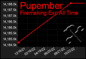 Total Graph of Pupember