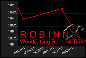Total Graph of R O B I N N