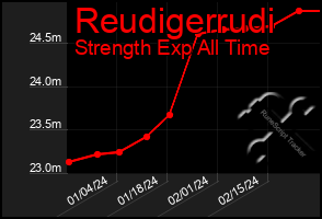 Total Graph of Reudigerrudi