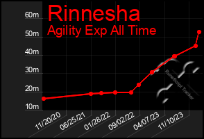 Total Graph of Rinnesha