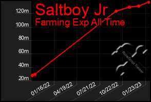 Total Graph of Saltboy Jr