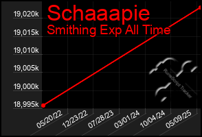 Total Graph of Schaaapie