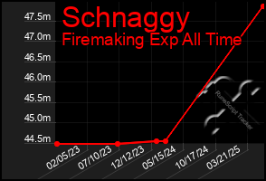 Total Graph of Schnaggy