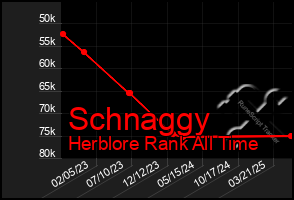 Total Graph of Schnaggy
