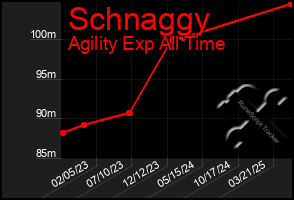Total Graph of Schnaggy