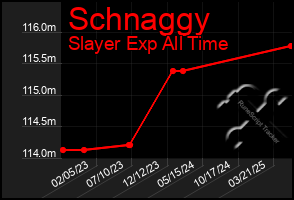 Total Graph of Schnaggy