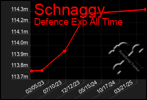 Total Graph of Schnaggy