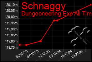 Total Graph of Schnaggy