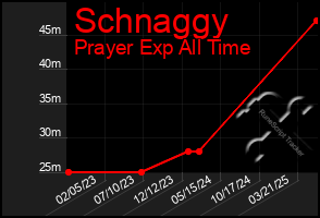 Total Graph of Schnaggy