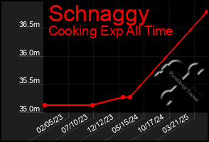 Total Graph of Schnaggy