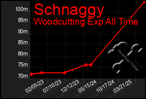 Total Graph of Schnaggy