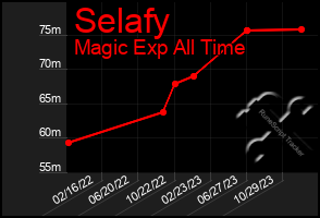 Total Graph of Selafy