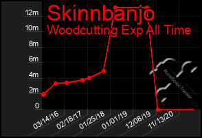 Total Graph of Skinnbanjo