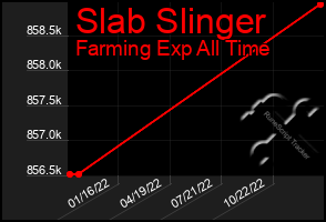 Total Graph of Slab Slinger