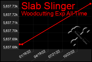 Total Graph of Slab Slinger