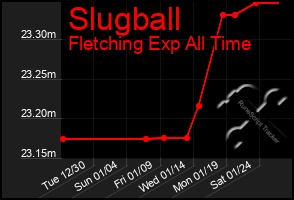 Total Graph of Slugball