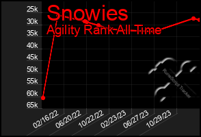 Total Graph of Snowies