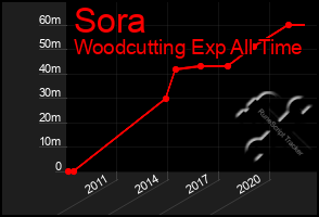 Total Graph of Sora