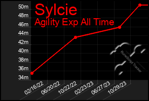 Total Graph of Sylcie