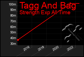 Total Graph of Tagg And Bag