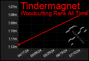 Total Graph of Tindermagnet