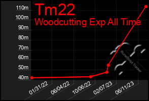 Total Graph of Tm22