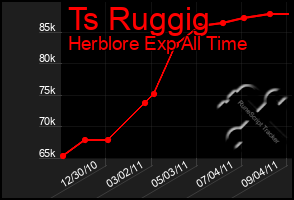 Total Graph of Ts Ruggig