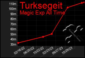 Total Graph of Turksegeit