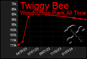 Total Graph of Twiggy Bee