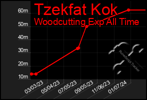 Total Graph of Tzekfat Kok