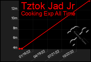 Total Graph of Tztok Jad Jr