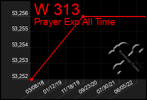 Total Graph of W 313