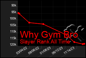 Total Graph of Why Gym Bro