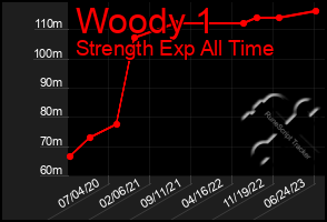 Total Graph of Woody 1