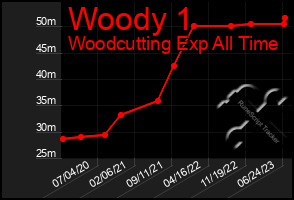 Total Graph of Woody 1