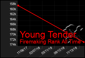 Total Graph of Young Tender